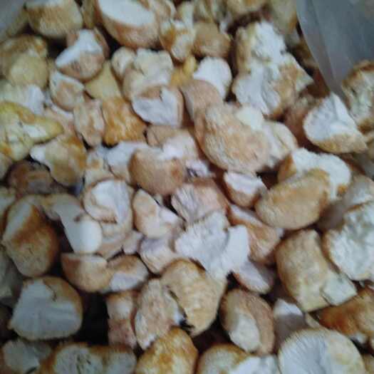 海林市东北产猴头菇块批发 去跟干净 干度好 猴头菇结实  出粉率高
