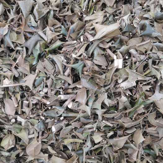 固始县绣花针