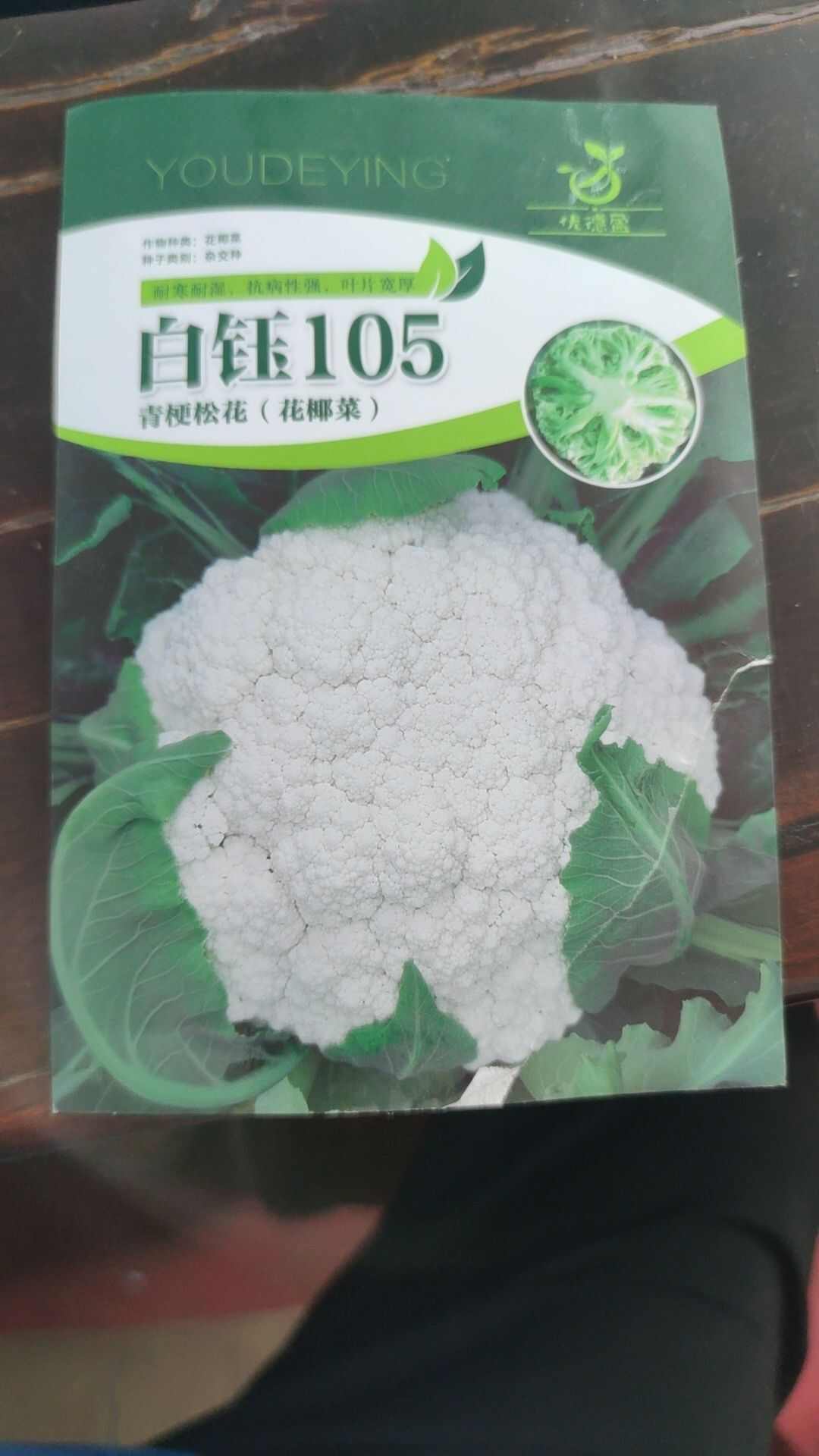 花椰菜苗 有机菜花苗 105 108天松花菜苗 耐寒花菜苗