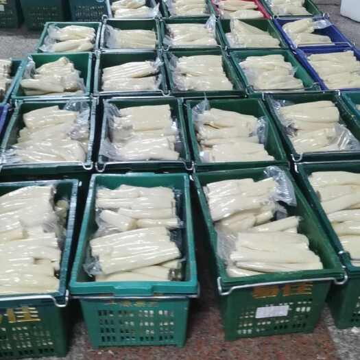 防城港2024己上市黄肉木薯2200亩糖水餐饮店完整供应链量大从优