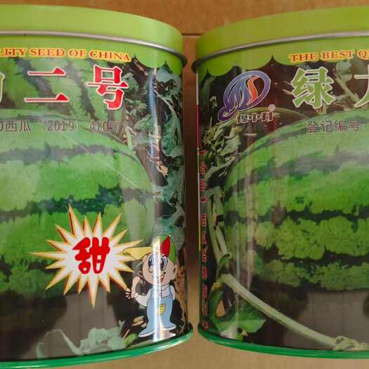 成都重茬王西瓜种子 大果石西瓜