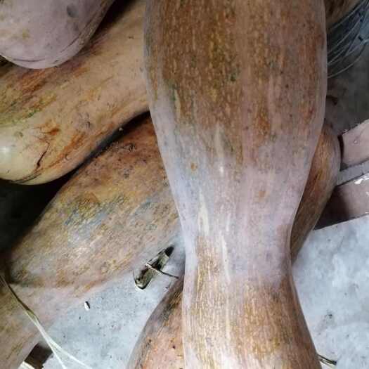 中江县南瓜，炒南瓜，蒸南瓜