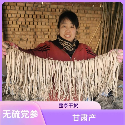 甘肃原产地 白条党参 优质长条 原色原味 包邮【纯无硫】