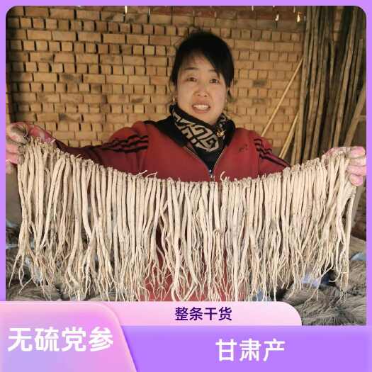 陇西县甘肃原产地 白条党参 优质长条 原色原味 包邮【纯无硫】