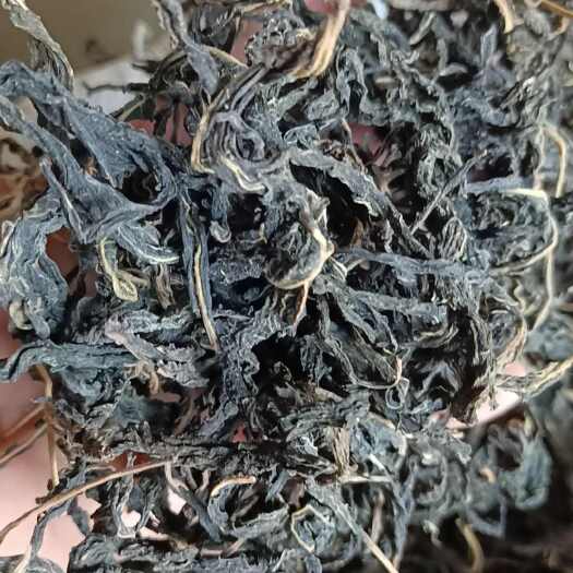 方城县芝麻叶农家自晒芝麻嫩叶