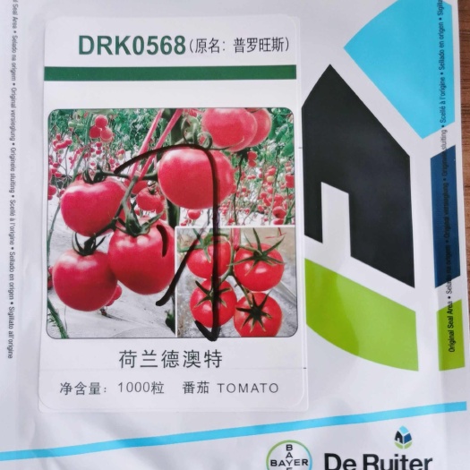 寿光市粉果番茄种子  荷兰原包装普罗旺斯番茄种子  沙瓤口感