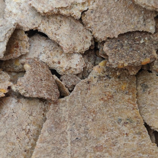 聊城山东省优质豆饼饲料适用于鹅猪牛羊马