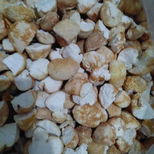 海林市东北猴头菇块批发  干净去根  猴头菇结实 出粉率高