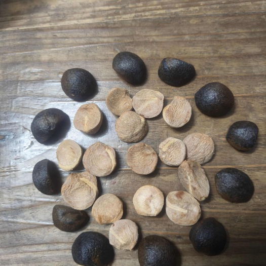 岳阳30年老树林，好茶籽出好油
