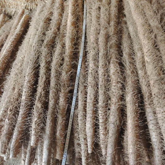 新绛县铁棍山药  毛山药  白玉山药