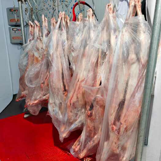 四子王旗纯正草原牛羊肉，大自然的更放心