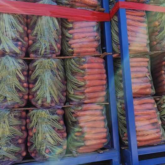 开封精品货  沙地红萝卜 欢迎询价