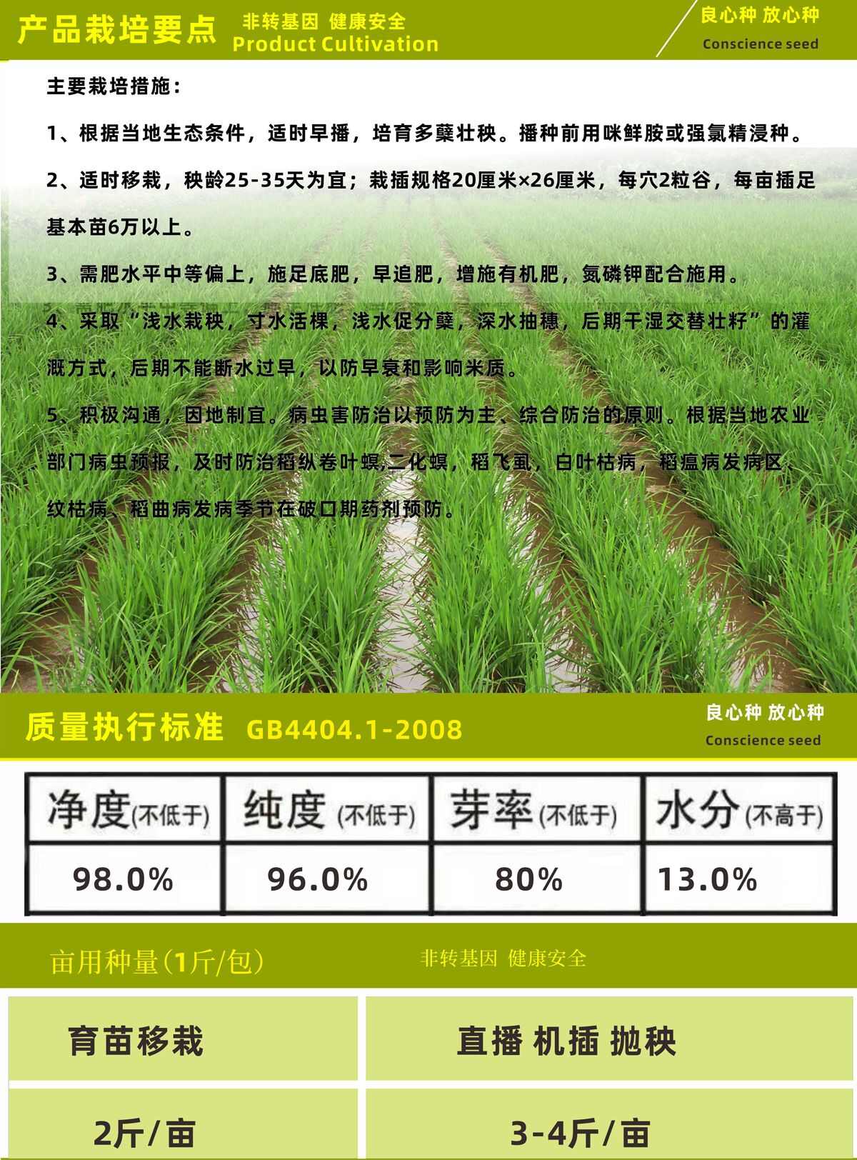 航天水稻种子抗性强产量高米质优长粒米杂交水稻种子稻谷种子