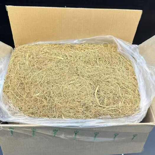 清原县林下参老参须