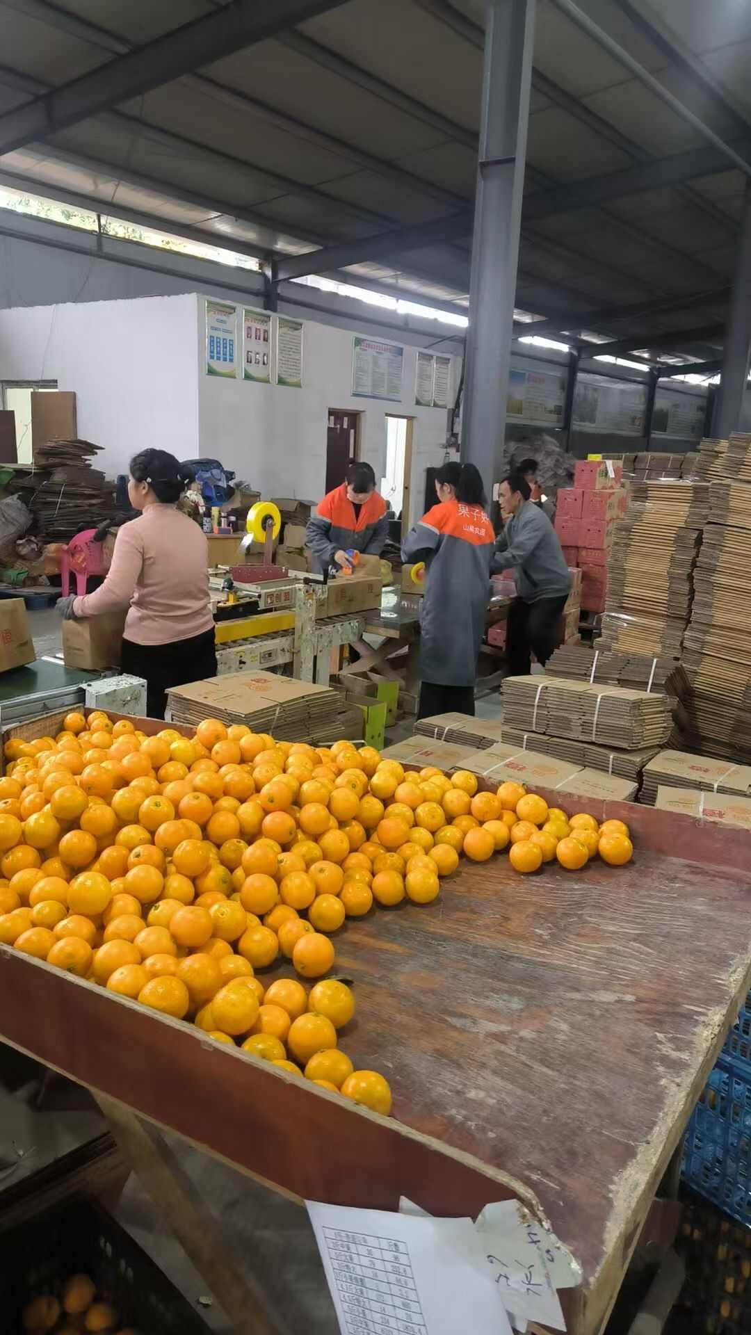 湖南麻阳冰糖橙低价批采一件代发