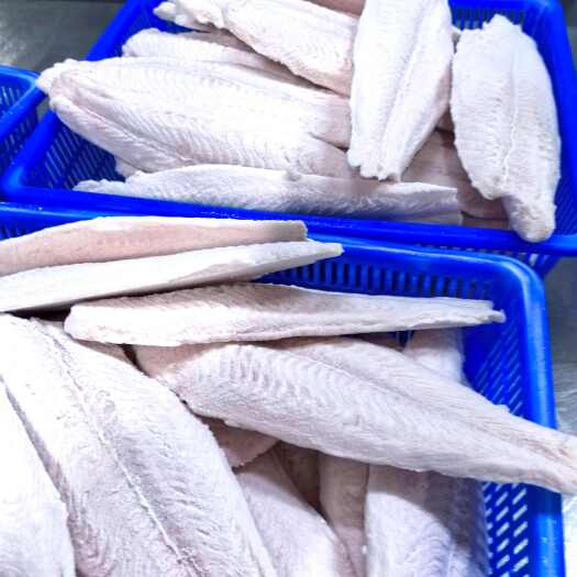 沈阳越南工厂直销巴沙鱼系列