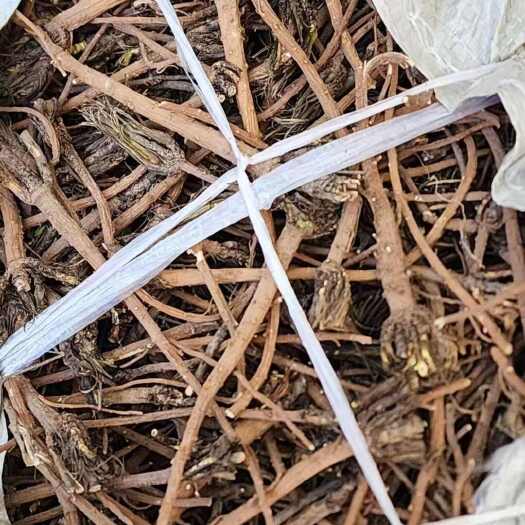 正宁县北柴胡中药材 根茎类精品 正宁县发货