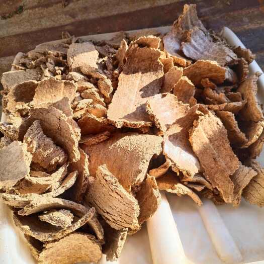 天津玉米胚芽饼，南瓜子饼，厂家直销，适用于猪牛，羊鸡鸭鹅，