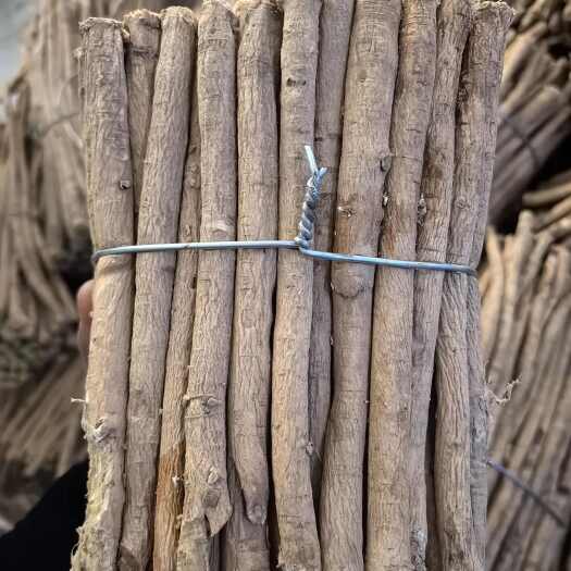 陇西县黄芪节