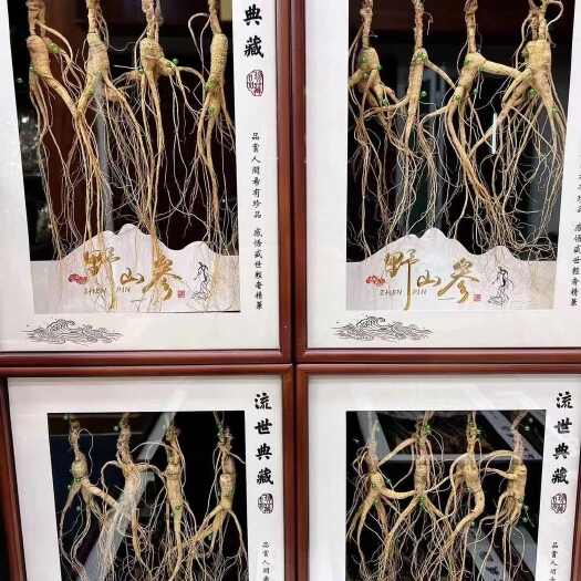 清原县林下参播仔