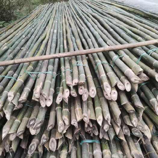 排山竹 搭架竹 8米