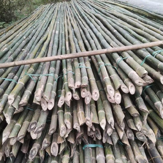 容县排山竹 搭架竹 8米