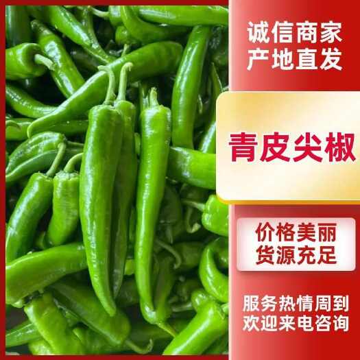 徐闻县精品鲜辣椒、青皮尖椒、黄皮尖椒，一手货源质量保证，全国供应。
