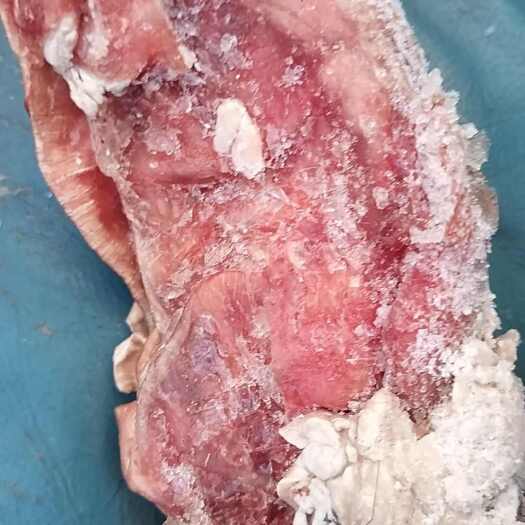 西安四分体牛肉冻货，鲜杀速冻