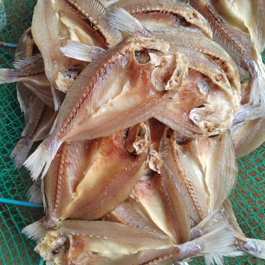 徐闻县广东湛江新鲜石头鱼干 捕捞 产地直发 海鲜零食批发零售