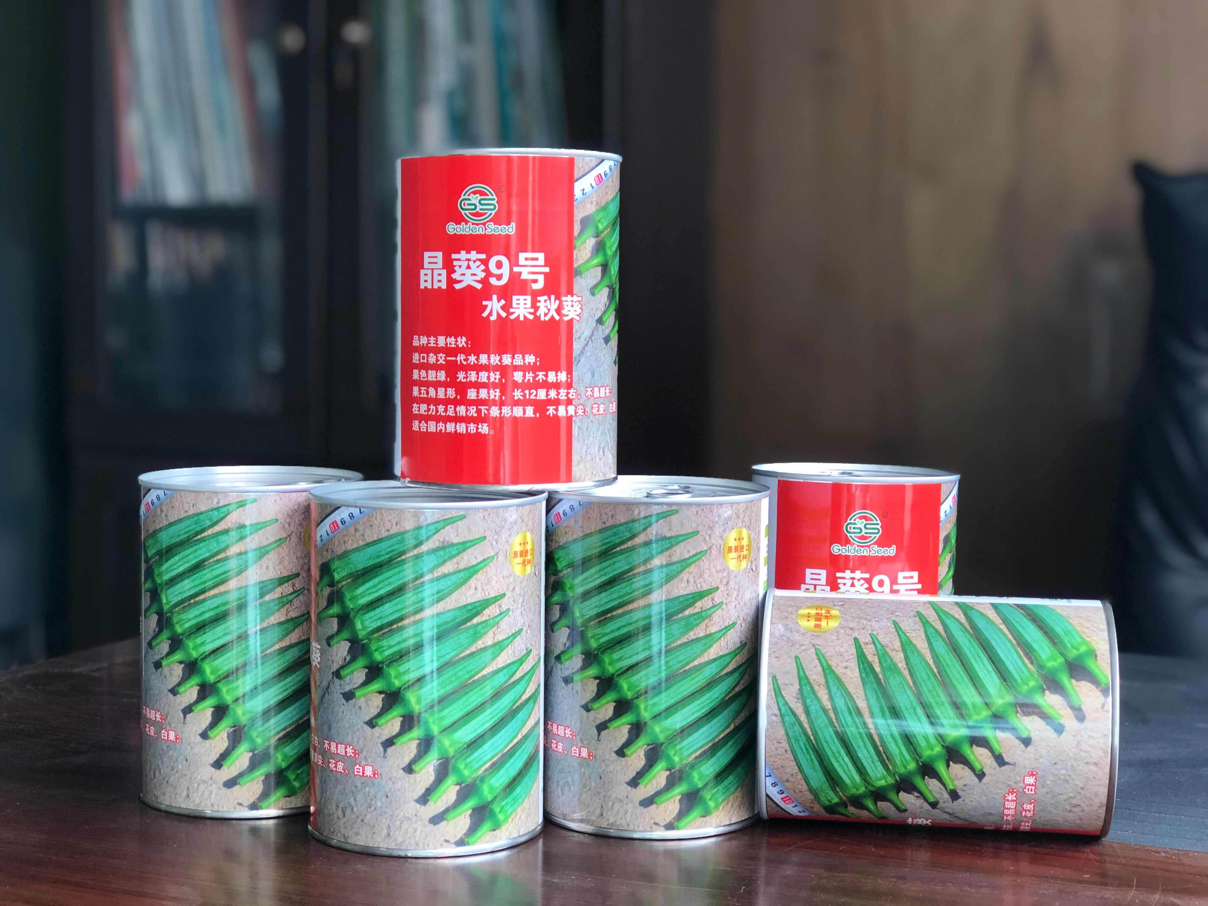 晶葵9号水果秋葵种子杂交一代水果秋葵品种果色靓绿