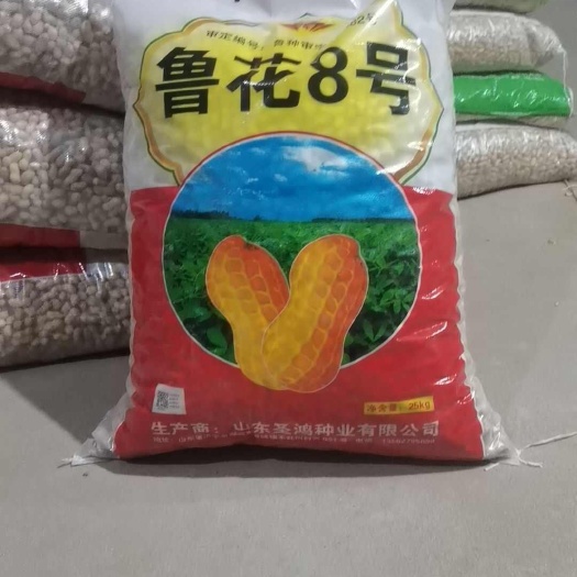 邹城市山东邹城优质花生种子 预包装发货 可追溯来源 安心种植选择
