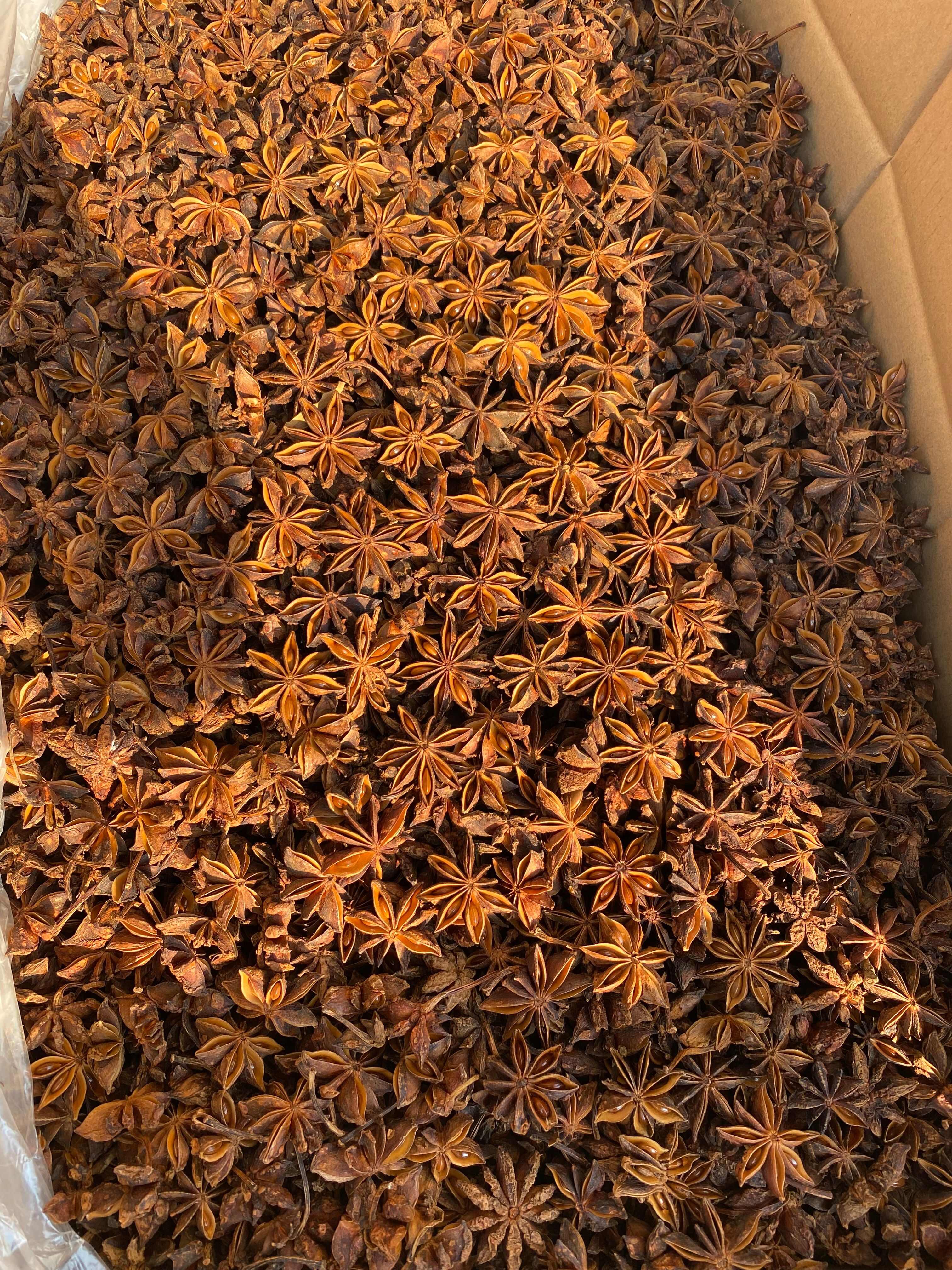 足干新大红八角，过筛，果型饱满，个头均匀