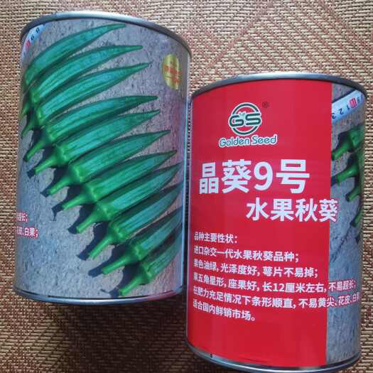 晶葵9号水果秋葵种子杂交一代水果秋葵品种果色靓绿