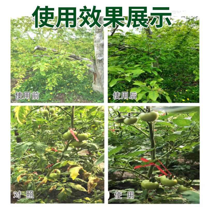 2黄叶一喷绿，增绿促长叶片厚，黄叶变绿叶，弱苗变壮，病叶变健