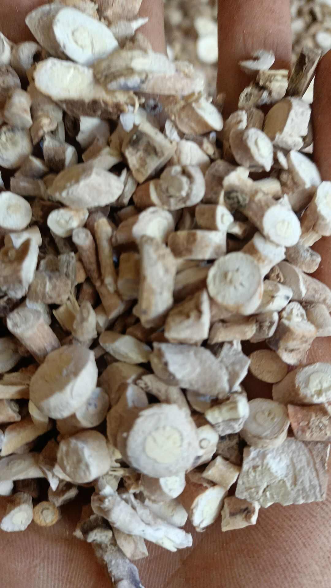 丹皮