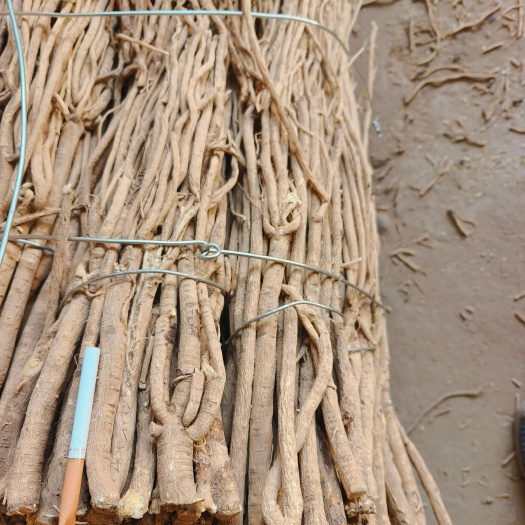 陇西县甘肃省陇西县优质黄芪药材直发
