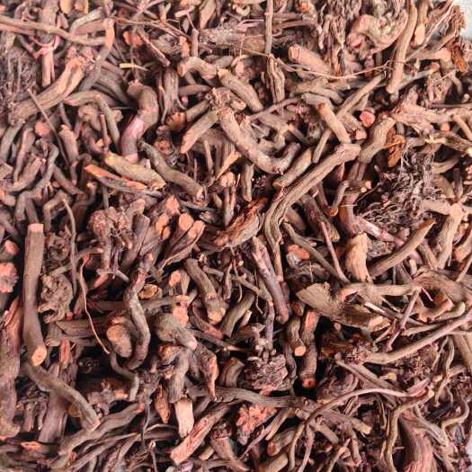 鄄城县茜草 红茜草 血见愁 颜色好  新货