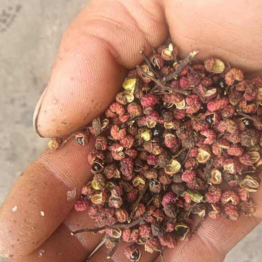 宁南县花椒 干花椒