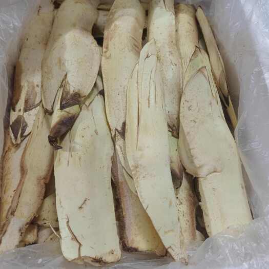 邵阳县棕包，棕笋，棕花