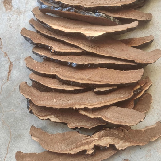 冠县不苦黑灵芝   黑灵芝切片