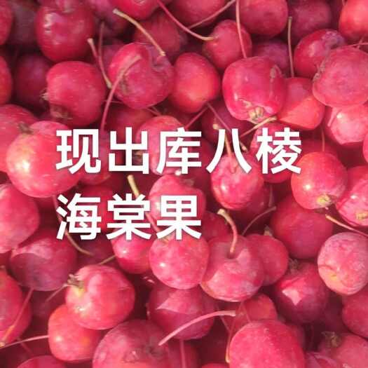 八棱海棠果
