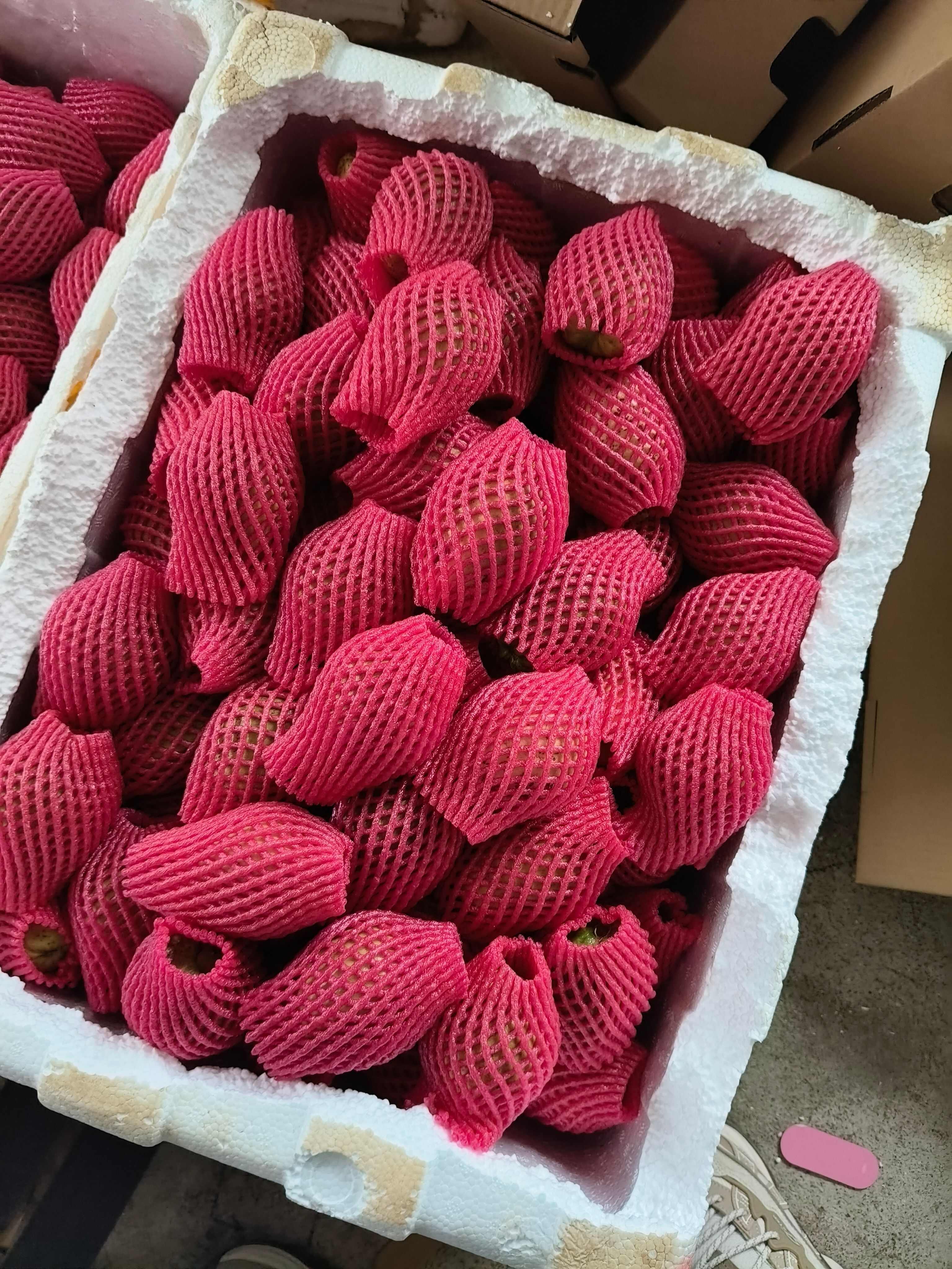 福建漳州产地直发红心芭乐白心芭乐番石榴批发