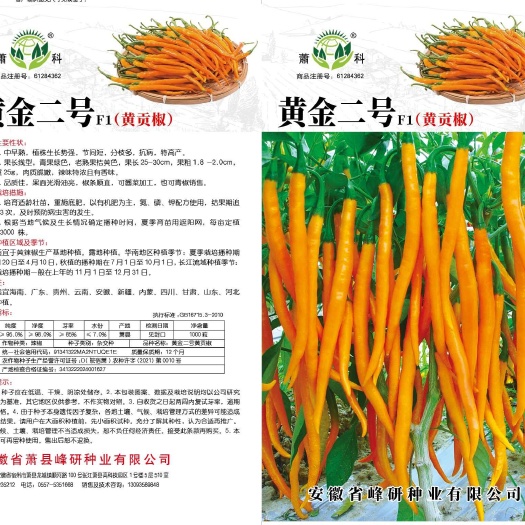 黄金二号  中早熟  品质佳  抗病性强  稳产  分枝多