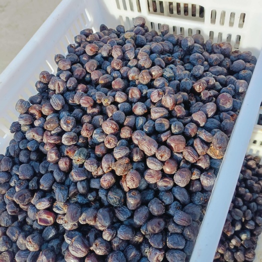 涉县黑枣