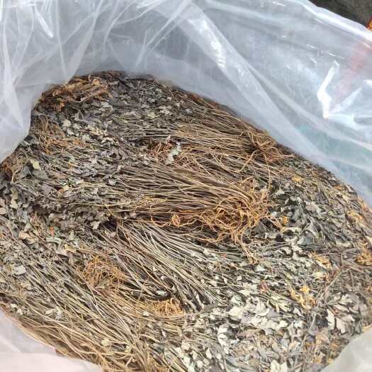 靖西市精品，干货岩黄连