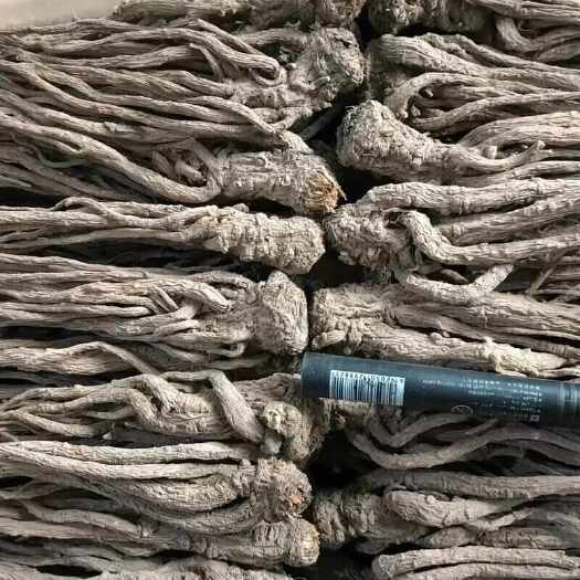 菏泽当归个子 产地甘肃 货好 干度优 不满意可以退换货 欢迎下单