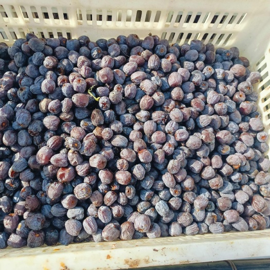涉县黑枣