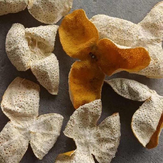 阳山县精品冬后三花大红皮