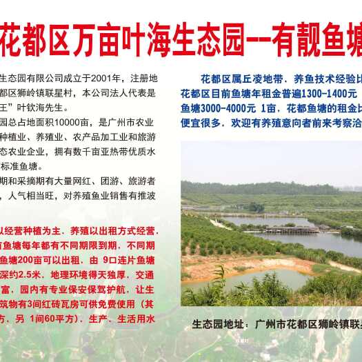 花都200亩鱼塘出租，欢迎考察洽谈
