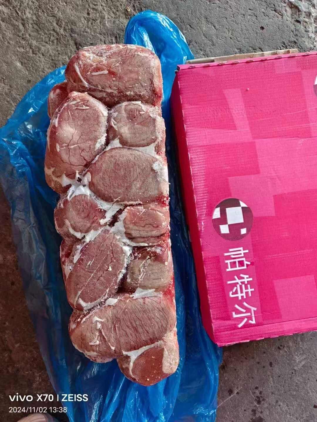 猪宝